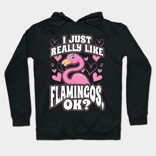 I just really like flamingos ok Hoodie